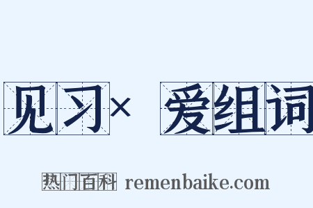 见习×爱组词是什么意思的图片